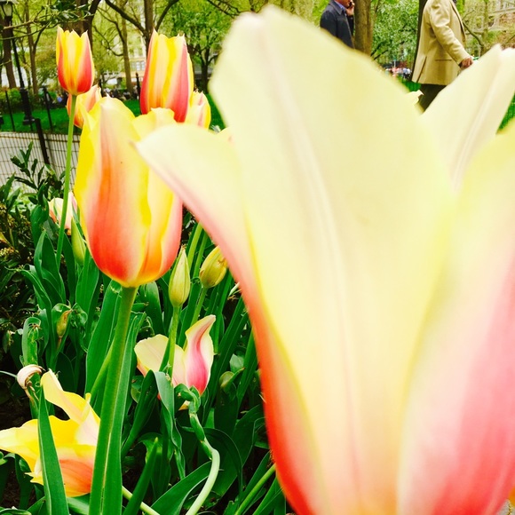 Meet your Posher, Jess - Picture 1 of 1